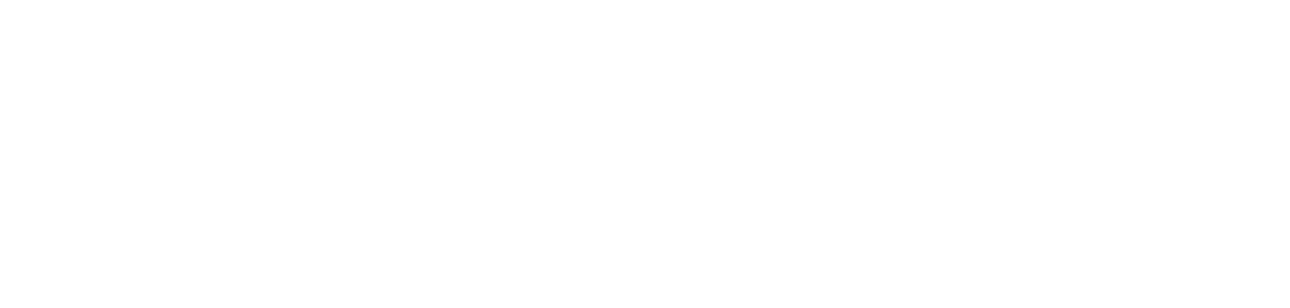 Pragmatic Institute logo